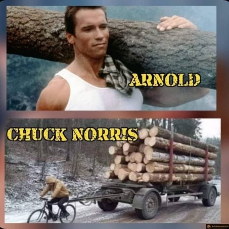 Transport bois Arnold vs Chuck