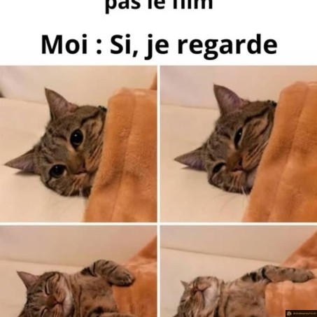 Tu ne regardes pas le film