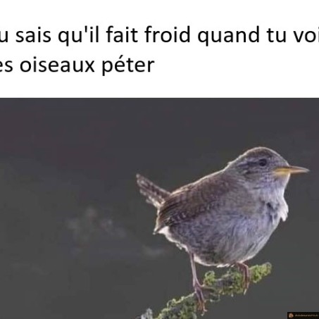 Tu sais qu'il fait froid quand