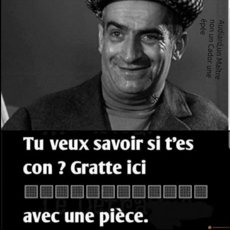 Tu veux savoir si t'es con?