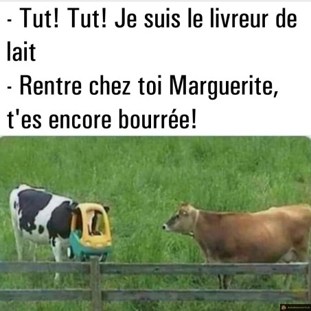 Tut tut livreur de lait