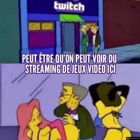 Twitch streaming de jeux video