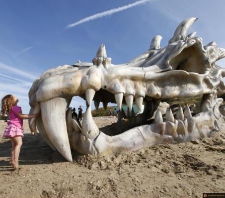 Un dragon?