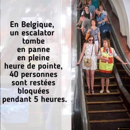 Un escalator tombe en panne