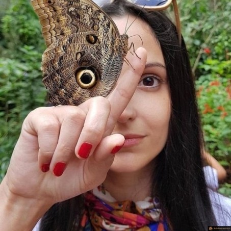 Un oeil papillon