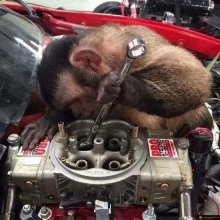 Un singe mecano