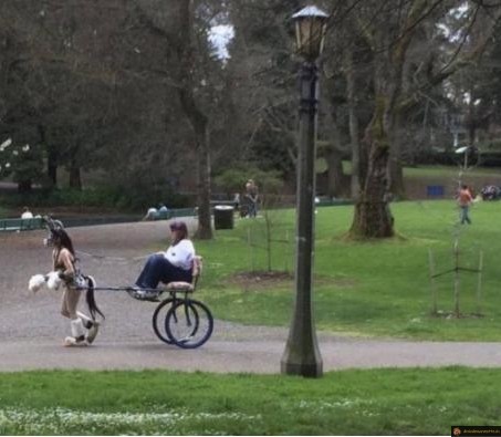Une calèche spéciale