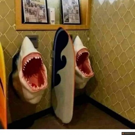 Urinoir requin
