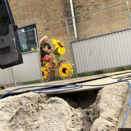 Vélo tournesol
