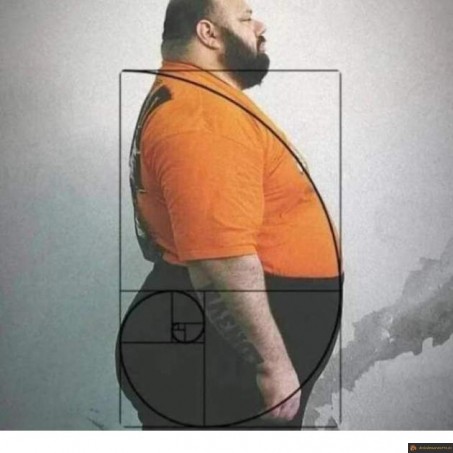 Ventre au nombre d'or