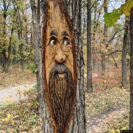 Visage arbre