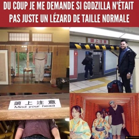 Visiter le Japon quand tu es grand