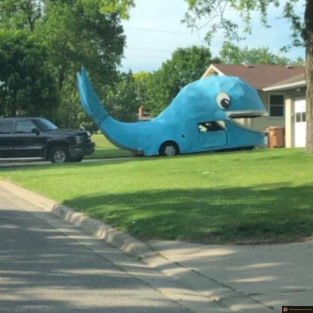 Voiture baleine