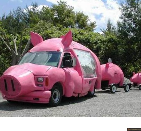 Voiture cochon