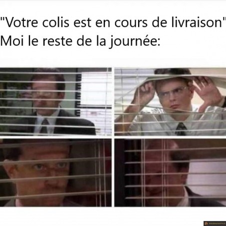 Votre colis est en cours de livraison