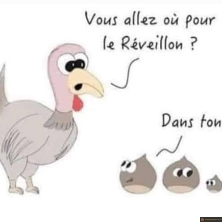 Vous allez où pour le réveillon?