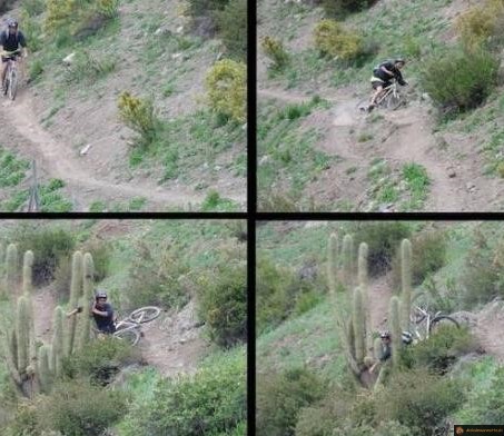 VTT vs cactus