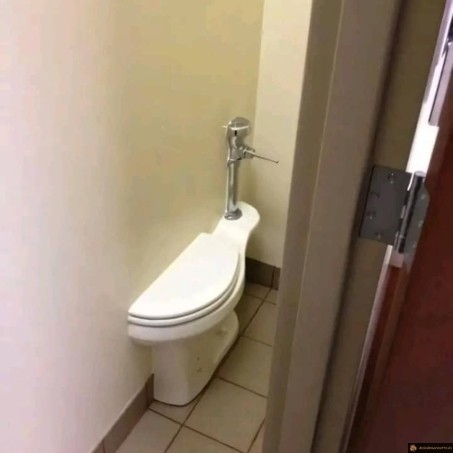 Wc divisé