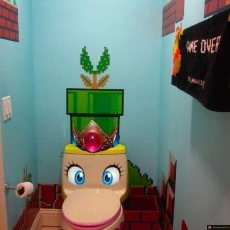 Wc princesse mario