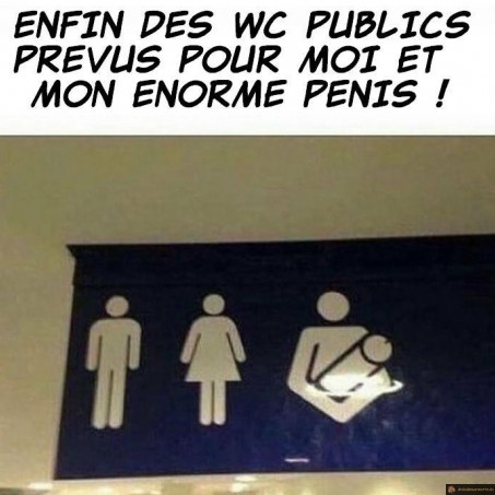 Wc publics