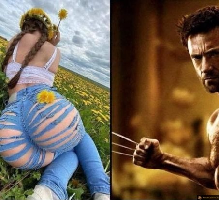Wolverine le coquin