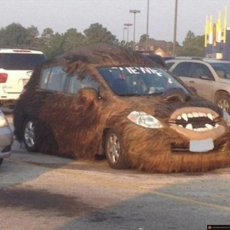 Wookie car