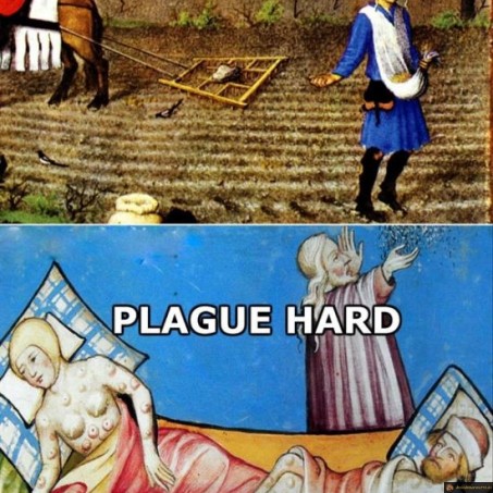 Work hard