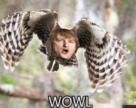 WOWL