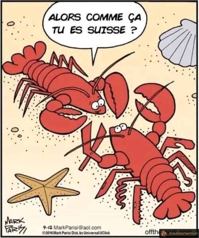 Alors comme ça tu es Suisse?
