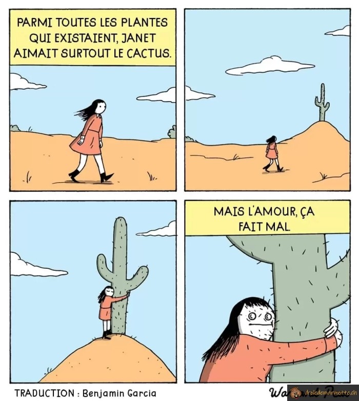 Amour et cactus