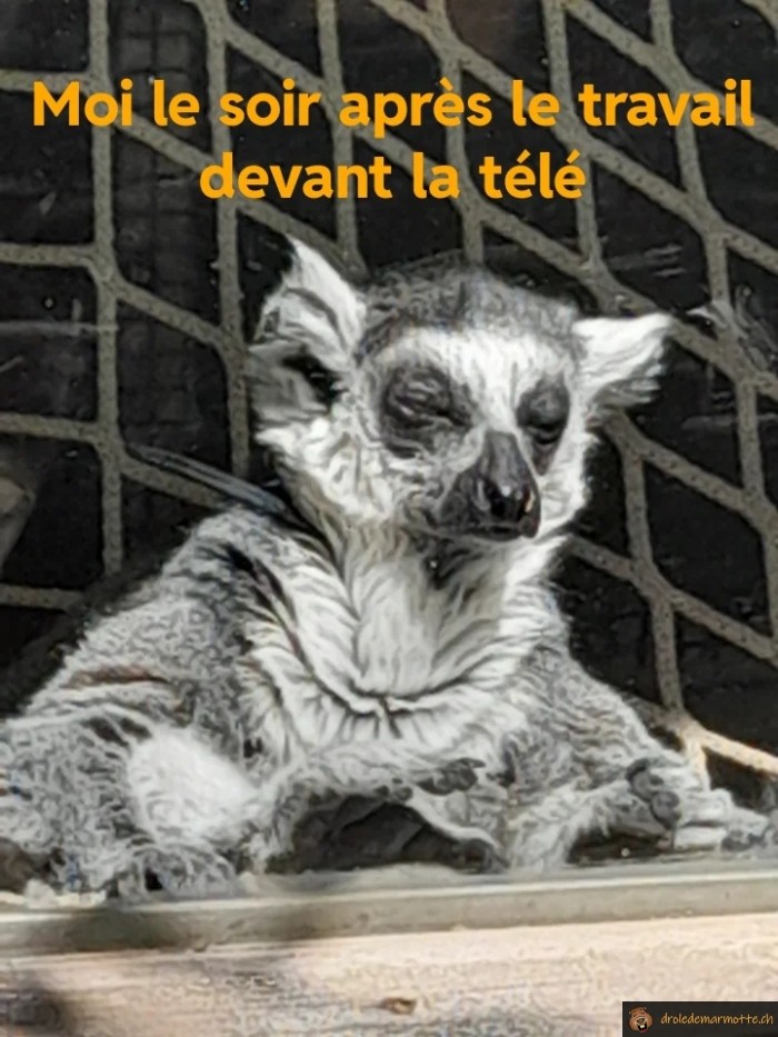 Après le travail, devant la télé