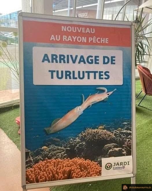 Arrivage de turluttes