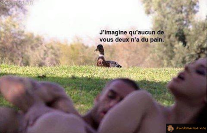 Aucun de vous 2 n'a du pain?