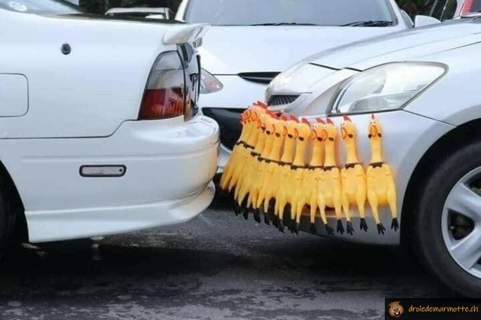 Avertisseur sonore voiture