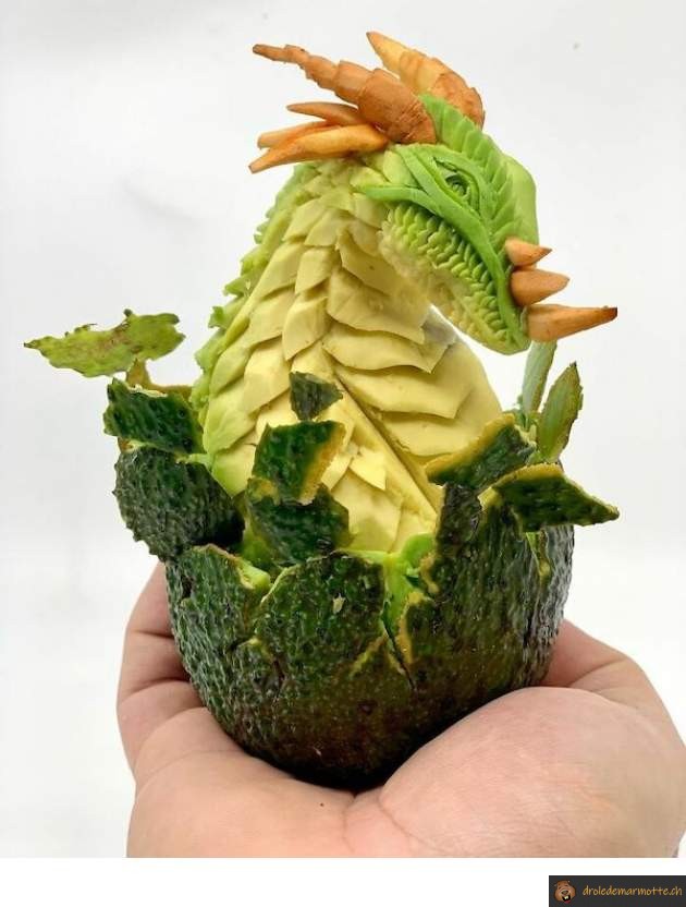 Avocat dragon