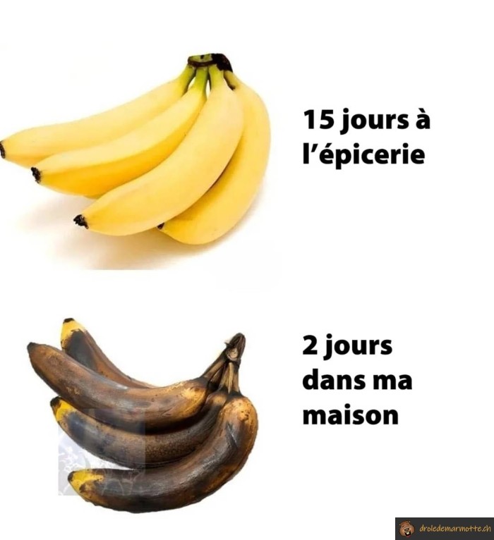 banane à la maison vs epicerie