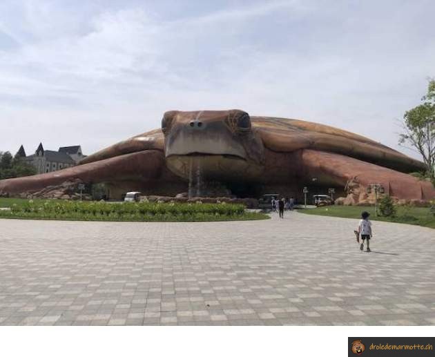 Bâtiment tortue géante