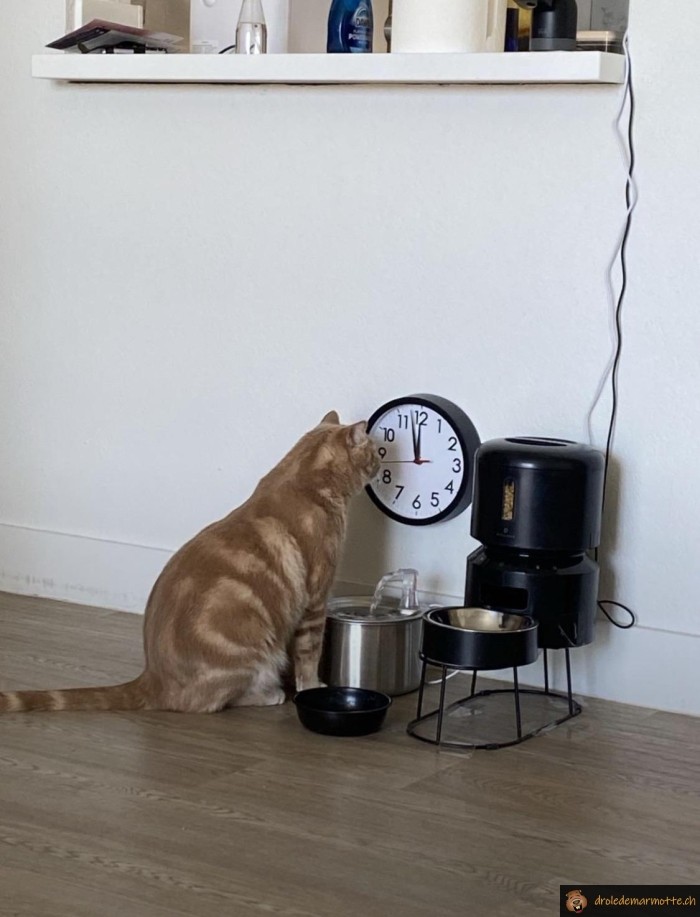 C'est l'heure de manger