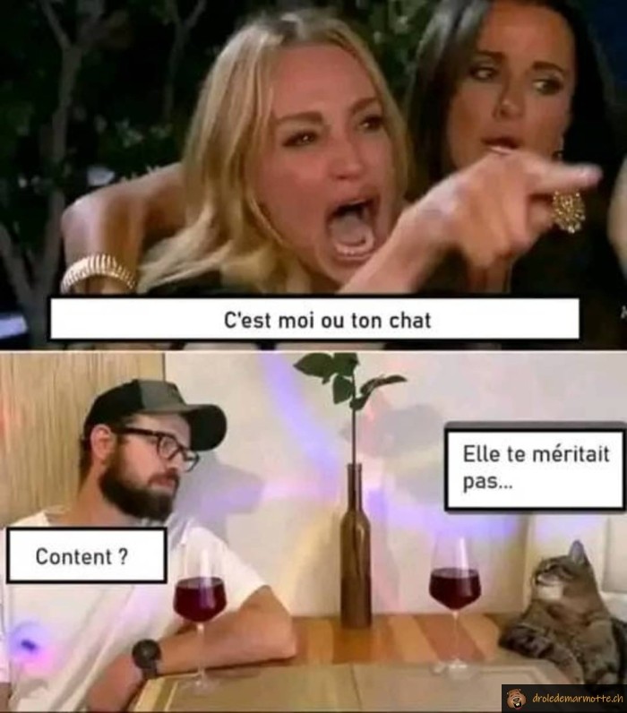 C'est moi ou ton chat