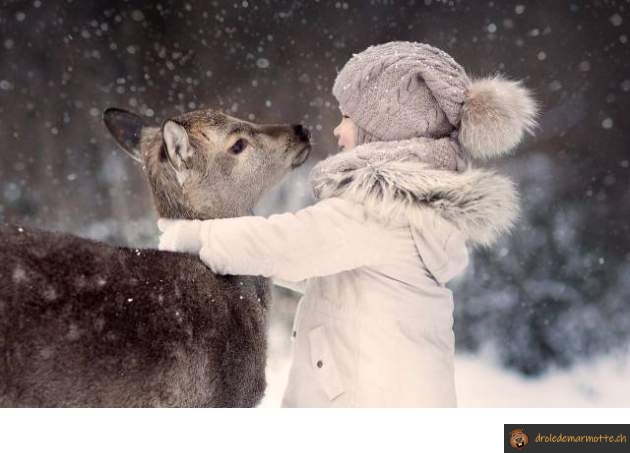 Calin biche