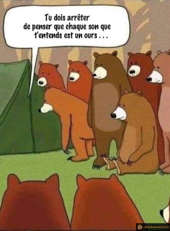 Camping bruit ours