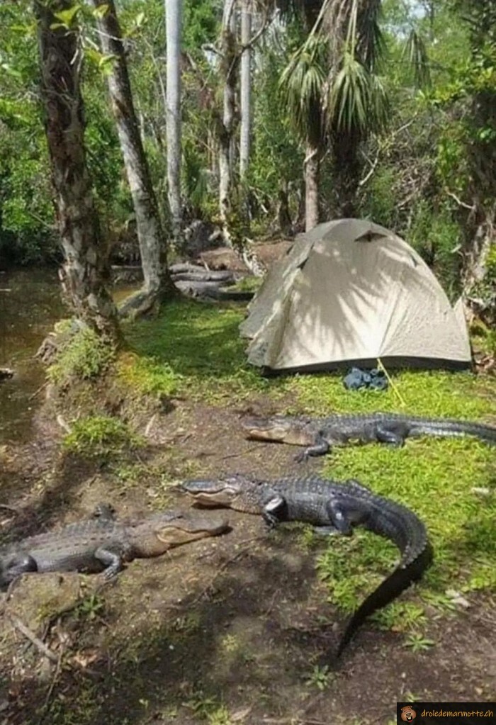 Camping très sauvage
