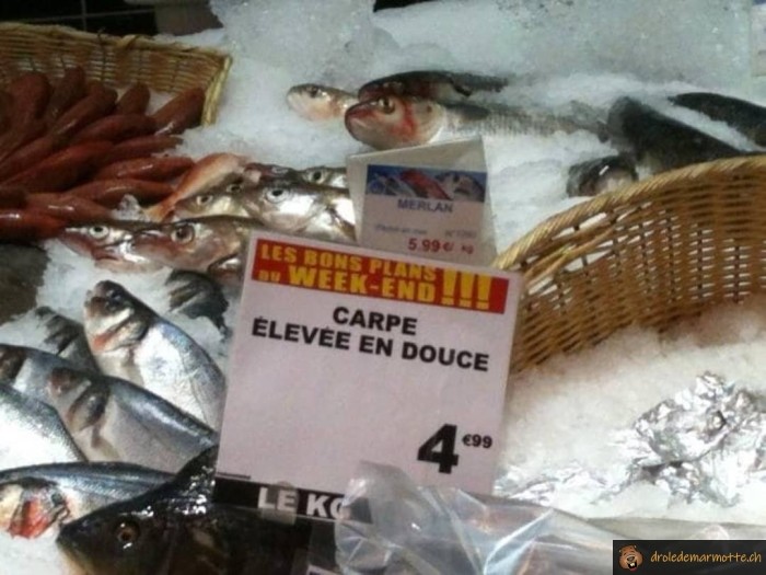 Carpe illégale