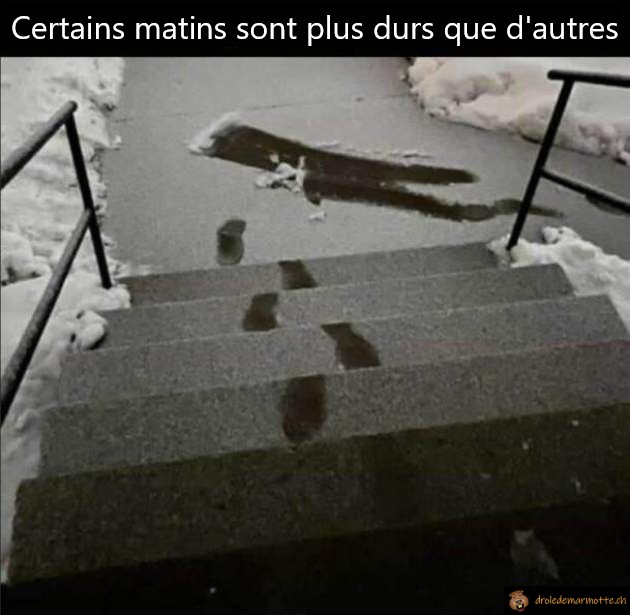 Certains matins sont plus durs que d'autres