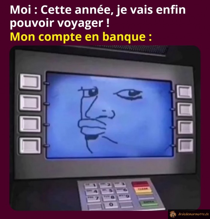 Cette année je vais pouvoir voyager