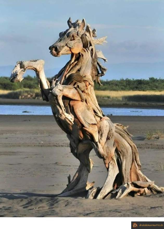 Cheval en bois flotté