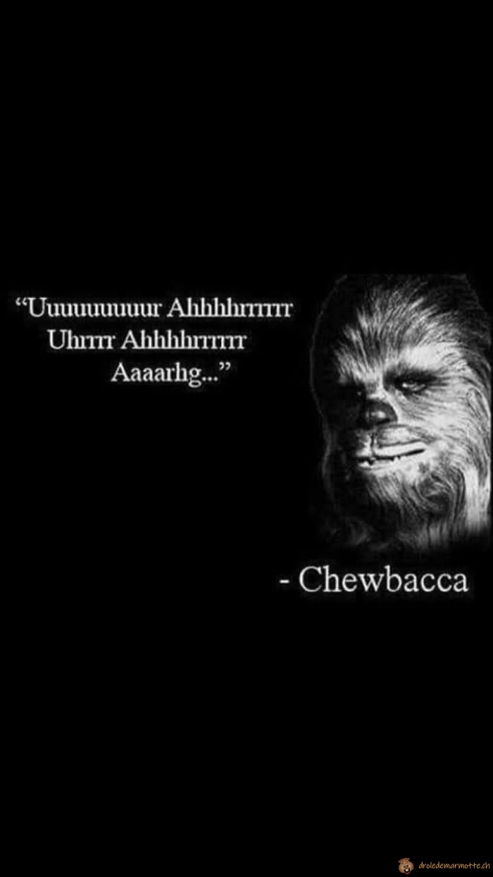 Citation Chewbacca