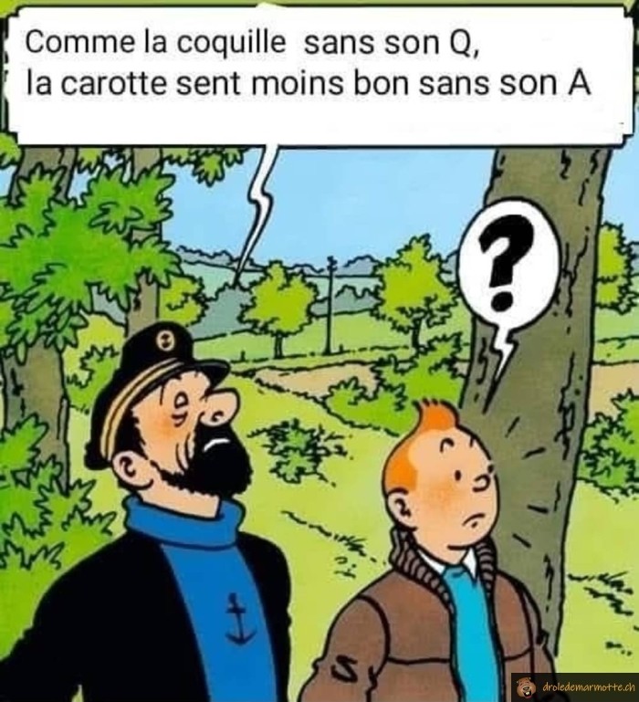 Citation du capitaine Haddock