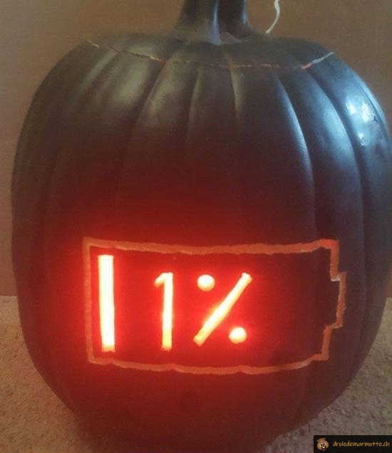 Citrouille 1%