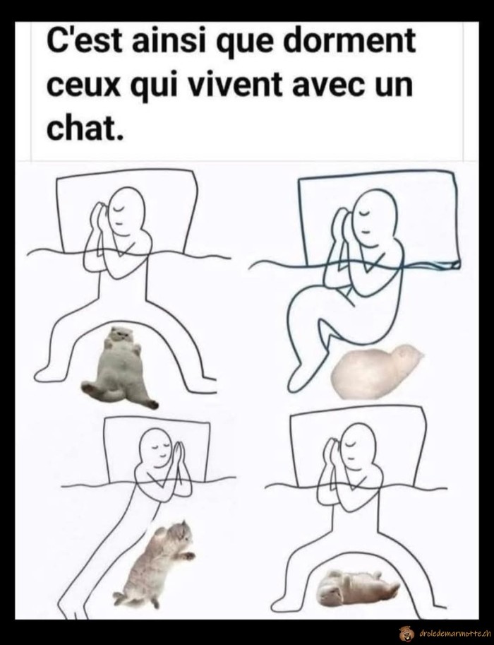 Comment dormir avec un chat
